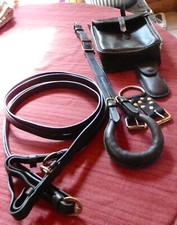 Australian reins hoof for sale  Coquille