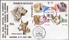 Ibizan hound spanish for sale  UK