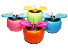 Haac solar wackelblume gebraucht kaufen  Ballenstedt