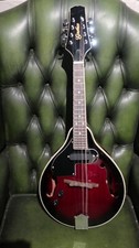 Used godman electric for sale  BRAUNTON