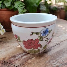 Norcal plant flower for sale  Mount Vernon