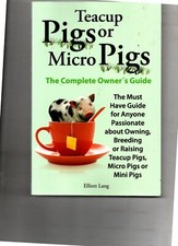 Teacup pigs micro for sale  CAMELFORD