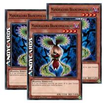 mandragora usato mandragora usato Ravenna