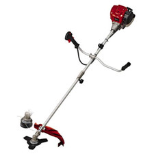 Einhell decespugliatore scoppi usato  Roccagloriosa