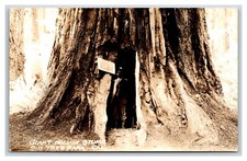 Rppc man inside for sale  Bremerton
