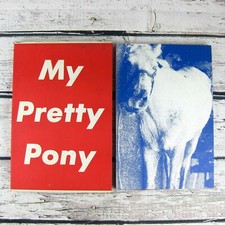 Pretty pony stephen for sale  Redding