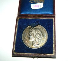 Superbe médaille argent d'occasion  Céret