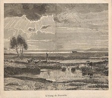 étang parentis berger d'occasion  Ouzouer-sur-Loire