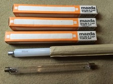 thorn bulb for sale thorn bulb for sale UK