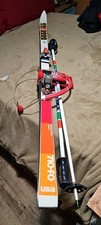 710 skis salomon for sale  Congress