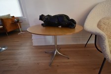 Eames herman miller for sale  Boise