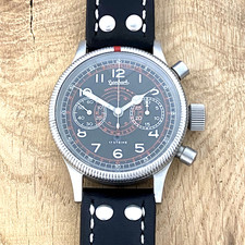 247 hanhart pioneer gebraucht kaufen  Elmenhorst