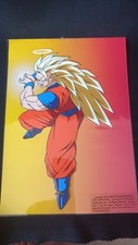Celluloïd goku super d'occasion  Reims