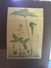 Vintage gwen frostic for sale  Frankfort