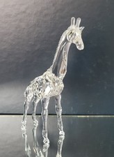 Swarovski junge giraffe gebraucht kaufen  Weilburg