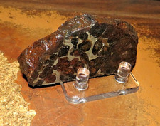 142 sericho pallasite d'occasion  Expédié en Belgium