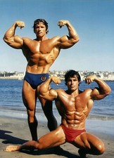 Bodybuilding gym arni for sale  SHEFFIELD
