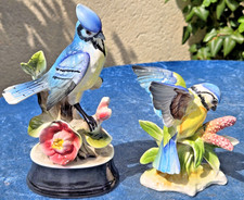 Jolies oiseaux anciens d'occasion  Mouy