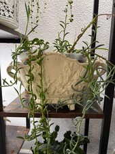 Antique french cast for sale  Folsom