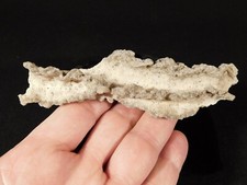 Big hollow fulgurite for sale  Salt Lake City