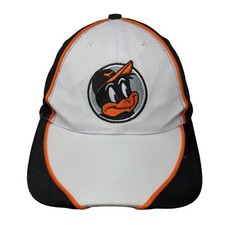 Junior orioles chick for sale  Knightstown