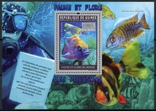 peacock cichlids for sale peacock cichlids for sale TRURO