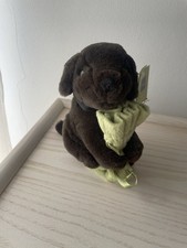 hotel chocolat dog for sale hotel chocolat dog for sale BRISTOL