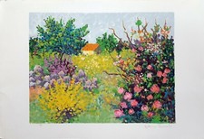 Antonio pasciuti 50x70 usato  Corbetta