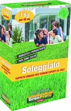 Prato sole kg.1 usato  Italia