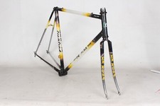 Vintage raffaele rosa for sale  Austin