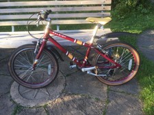 Raleigh childrens bike for sale  OXFORD