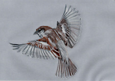 Original color pencil for sale  SOUTHSEA