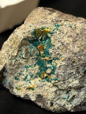 Dioptase wulfenite small for sale  Mesa