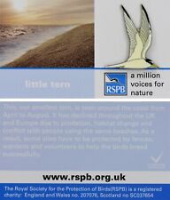 Rspb pin badge for sale  SANDY