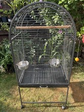 Parrot supplies daytona for sale  READING