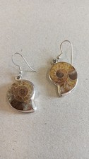 Ammonite fossil silver for sale  COVENTRY