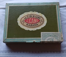 Vintage habana cigar for sale  HALESWORTH