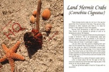 Picture postcard land for sale Picture postcard land for sale  NEWCASTLE UPON TYNE