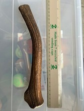 Split antler dog for sale  NEWPORT