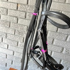 Aramas raised padded for sale  Ocala