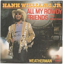 Hank williams all gebraucht kaufen  München