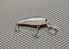 Lucky craft tango for sale  Falling Waters