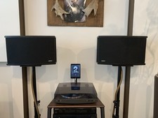 Bose 901 usato  Firenze