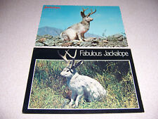 1970s fabulous jackalope for sale  Punta Gorda