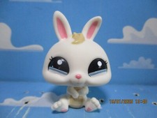 Petshop dwarf rabbit d'occasion  Expédié en Belgium