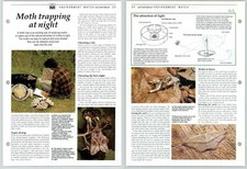 Moth trapping night for sale  SLEAFORD