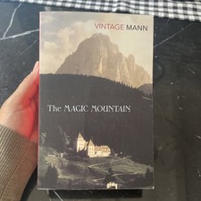 The magic mountain gebraucht kaufen  Berlin