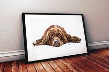 Newfoundland dog iii for sale  UK