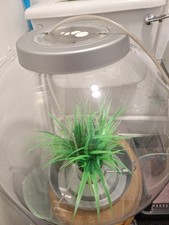 60lt biorb fish for sale  BIRMINGHAM