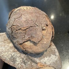 Beech burl wood for sale  HOLMFIRTH